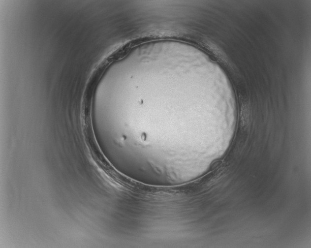 X0000060260722200511241426