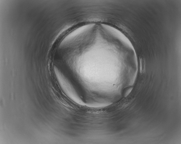 X0000060260723200511241426