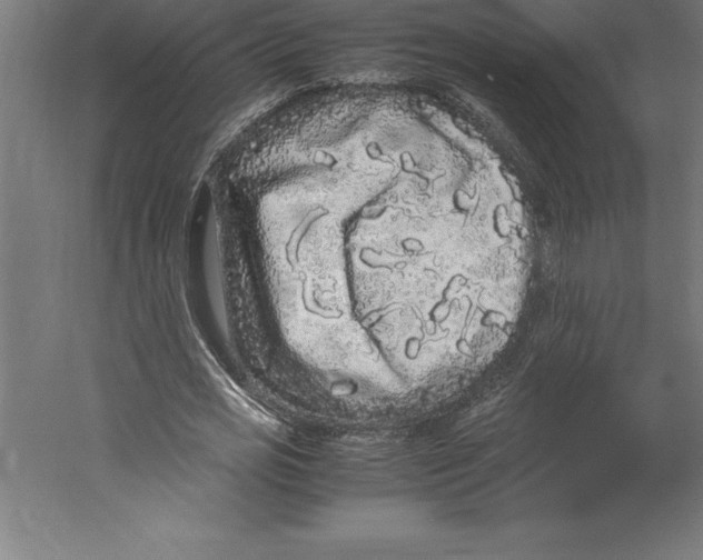 X0000060260725200511241427