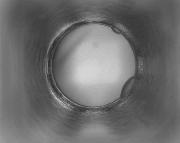 X0000060260726200511241427