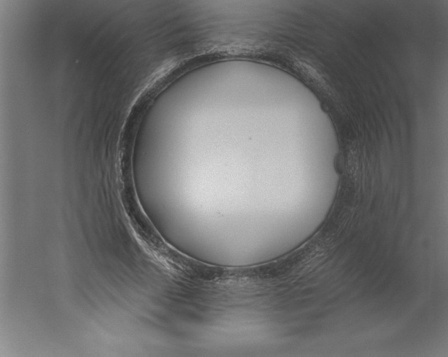 X0000060260730200511241427