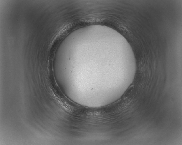 X0000060260735200511241427