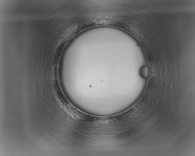 X0000060260738200511241427