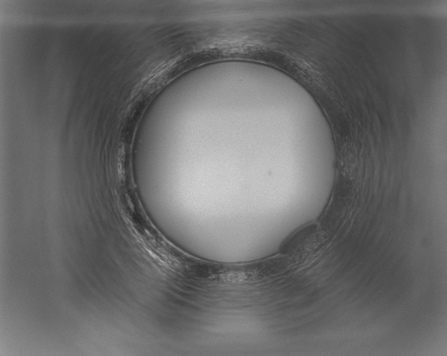 X0000060260740200511241427