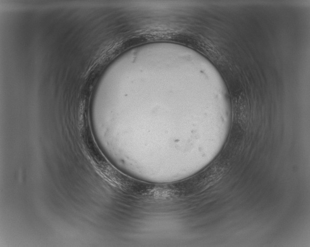 X0000060260742200511241427