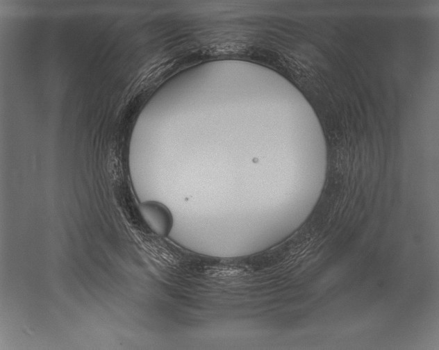 X0000060260743200511241427