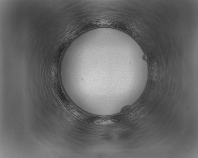 X0000060260747200511241427