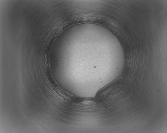 X0000060260748200511241427