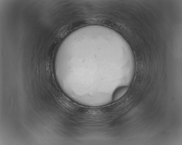 X0000060260749200511241427