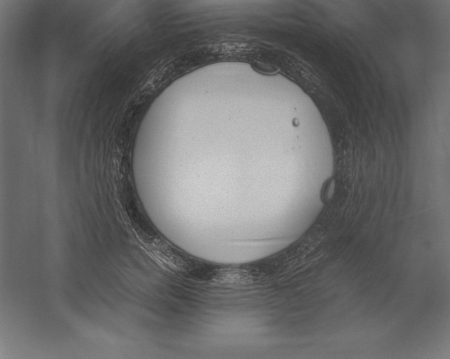 X0000060260750200511241427