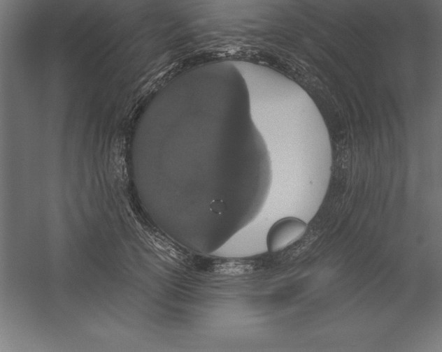 X0000060260754200511241427