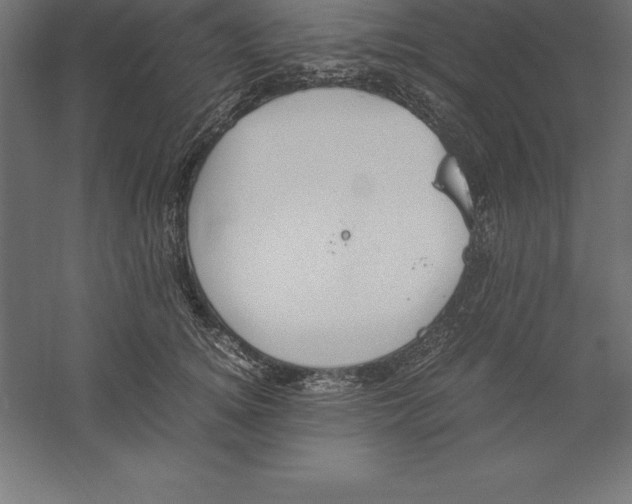 X0000060260756200511241427