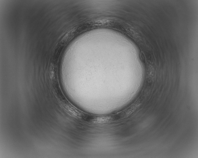 X0000060260758200511241427