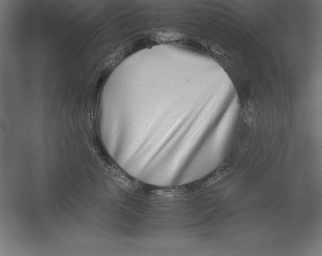 X0000060260763200511241427