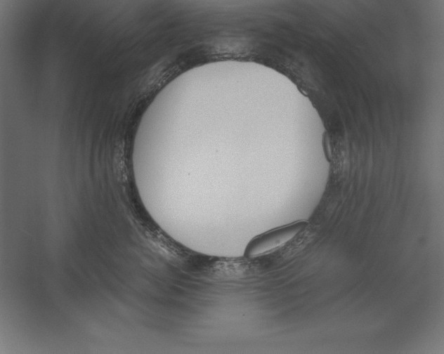 X0000060260764200511241427