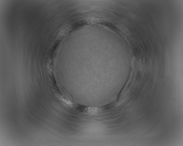 X0000060260766200511241427