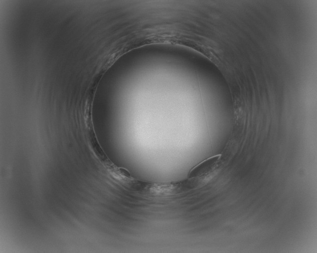 X0000060260767200511241427