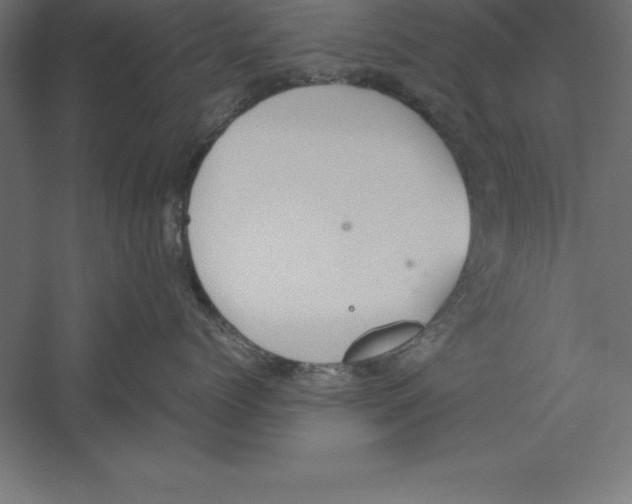 X0000060260768200511241427