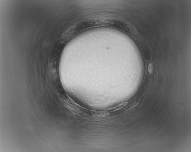 X0000060260771200511241426