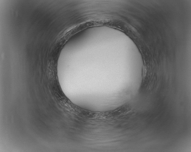 X0000060260773200511241426