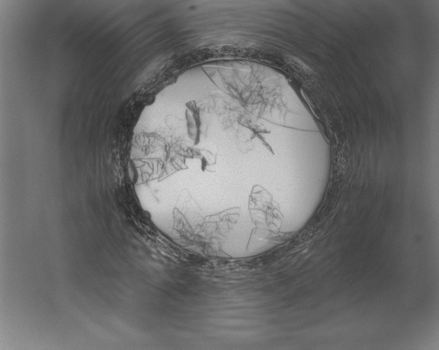 X0000060260774200511241426