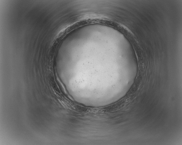 X0000060260775200511241426