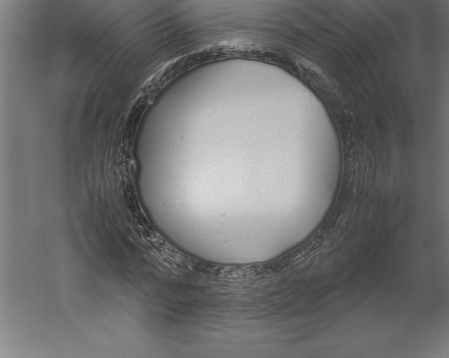 X0000060260776200511241426