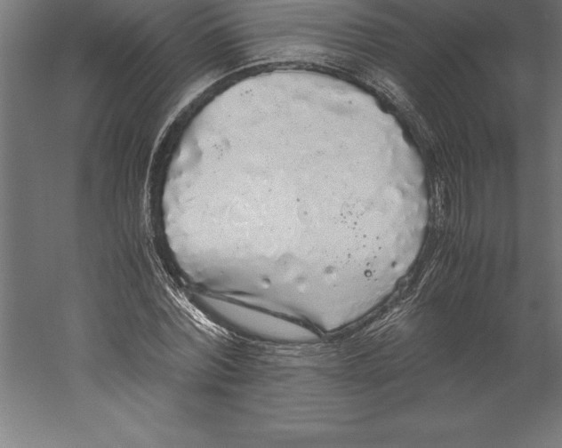 X0000060260780200511241426