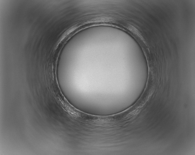 X0000060260781200511241426