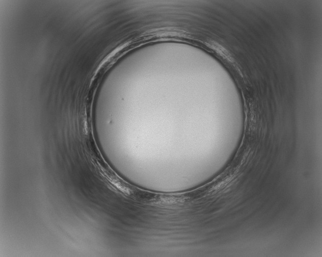 X0000060260782200511241426