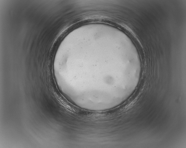 X0000060260783200511241426