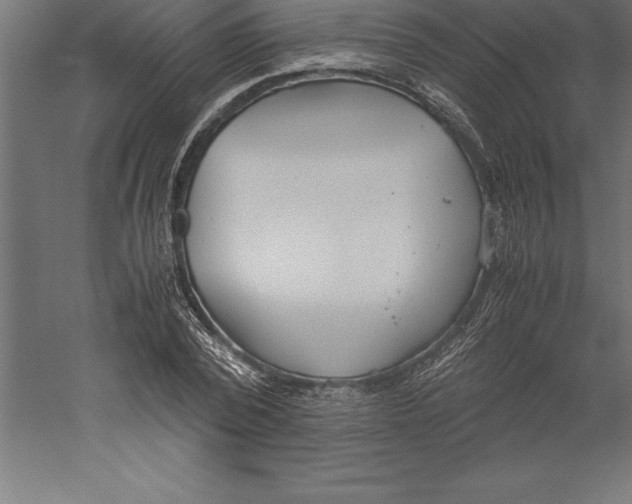 X0000060260784200511241426