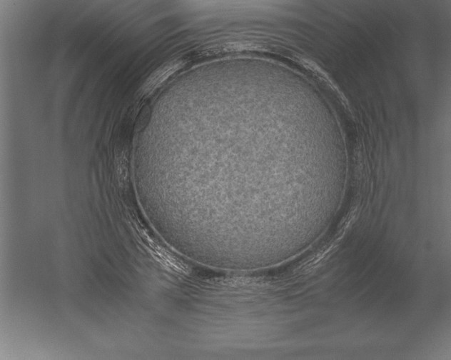 X0000060260785200511241426