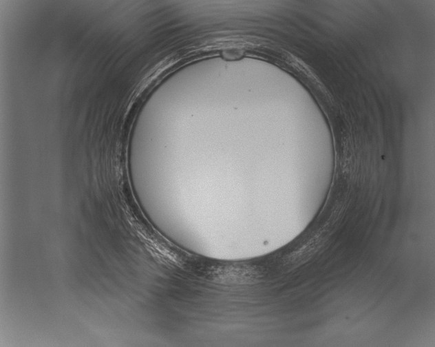 X0000060260786200511241426