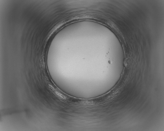 X0000060260789200511241426