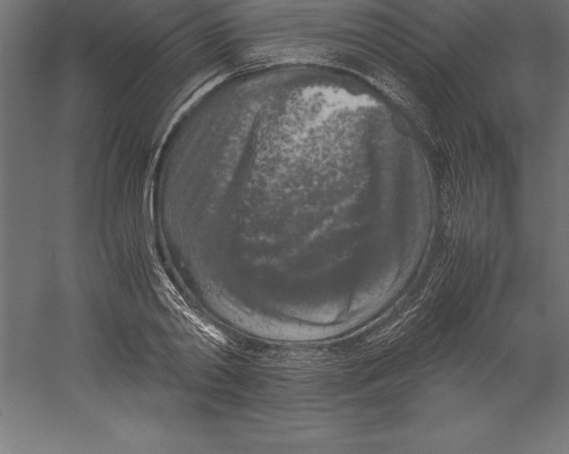 X0000060260790200511241426