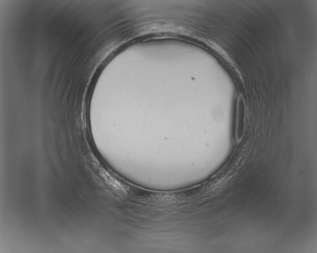 X0000060260791200511241426