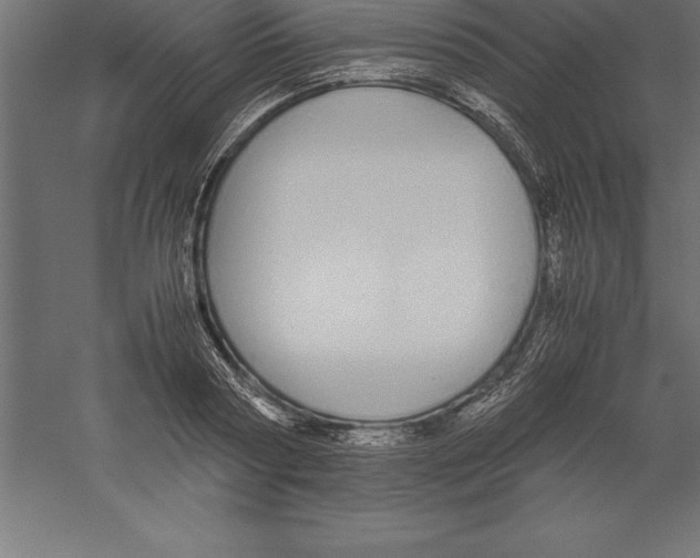 X0000060260794200511241426