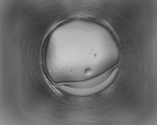 X0000060260795200511241426