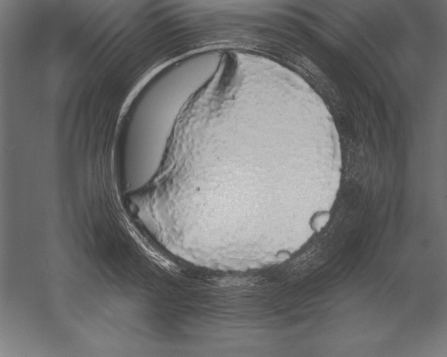 X0000060260796200511241426