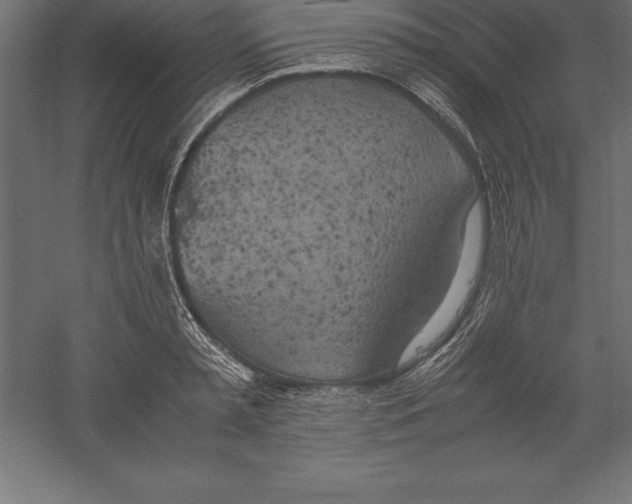 X0000060260797200511241426