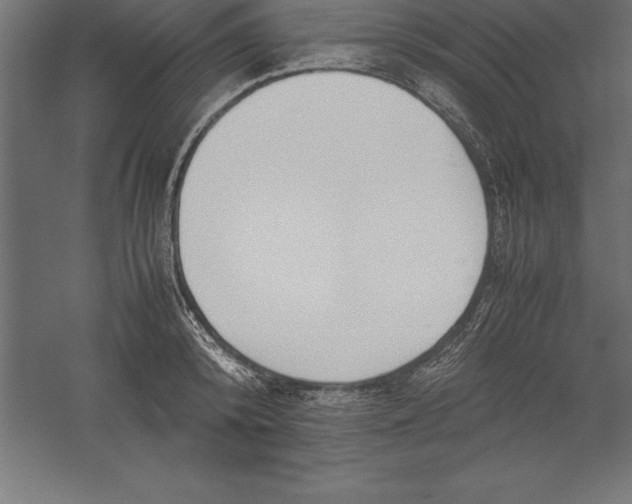 X0000060260800200511241426