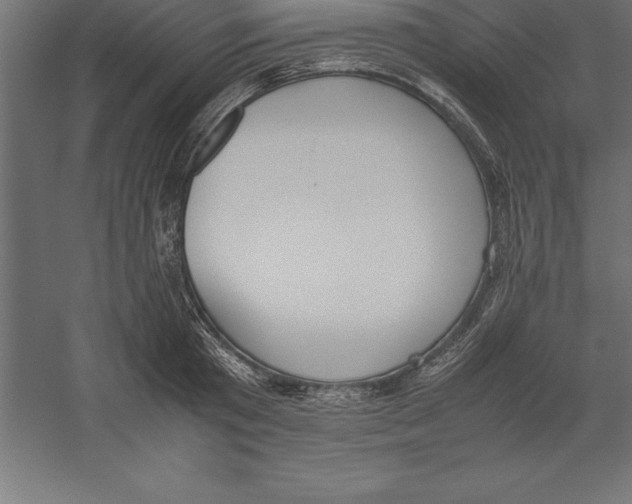 X0000060260801200511241426