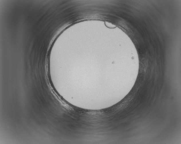 X0000060260804200511241426