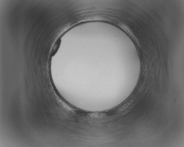 X0000060260805200511241426