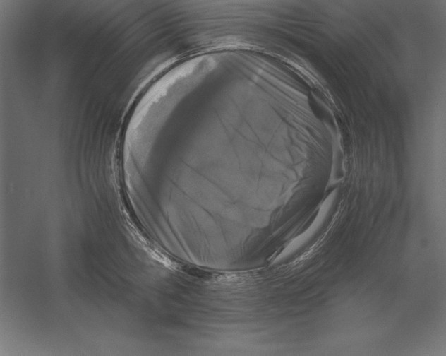 X0000060260806200511241426