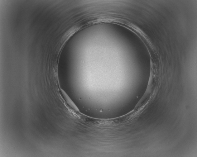 X0000060260809200511241426