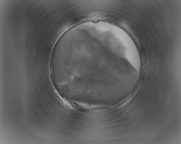 X0000060260810200511241426