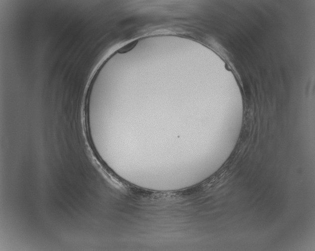 X0000060260811200511241426