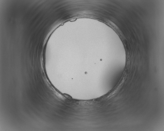 X0000060260812200511241426